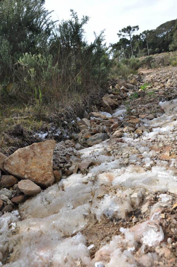 Gelo deixado pela forte geada em Cambará do Sul - RS